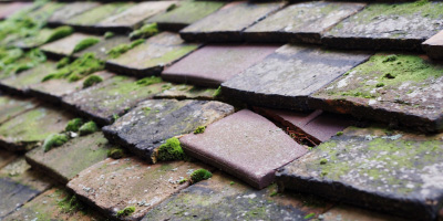 Sancler roof repair costs